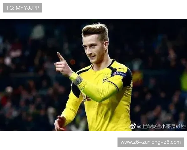 尊龙z6.com网址官方地址查询指南，帮助玩家轻松找到官方安全登录入口