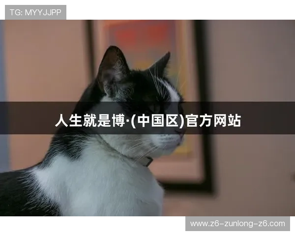 尊龙人生就是博l：从游戏中汲取人生勇气与坚持不懈的精神力量